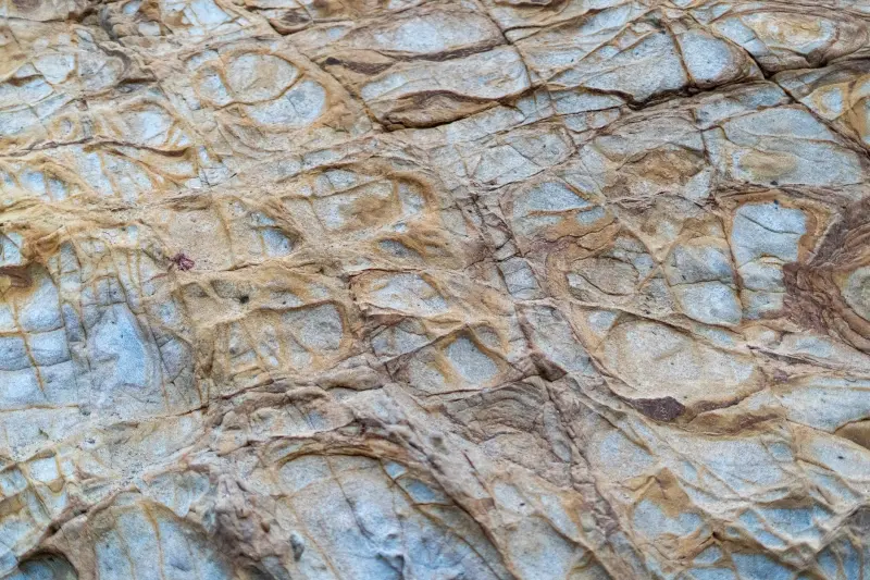 建筑亮化中LED洗墙灯与点光源搭配应用的技术要点分析